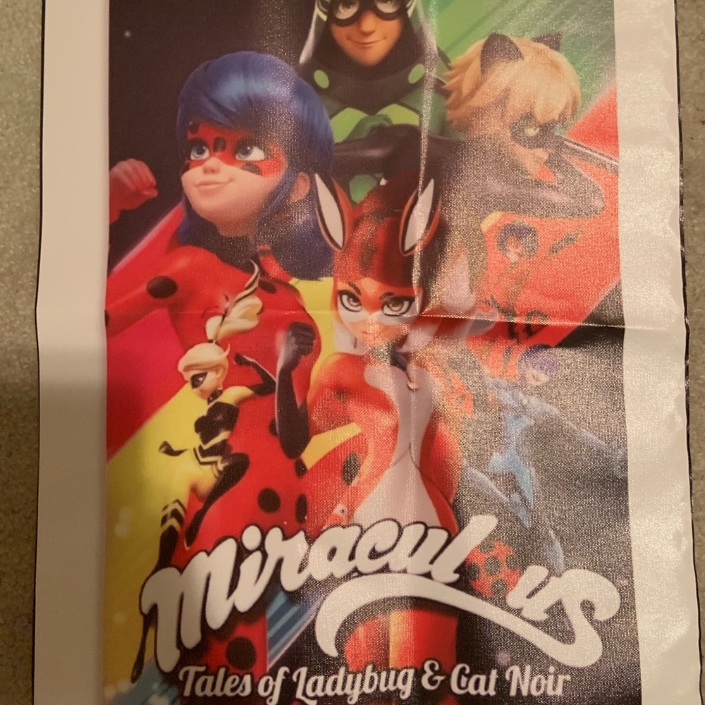 Miraculous Ladybug Poster